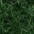 Forest Green - Very Fine Cut Basket Shred - 10 lb Box