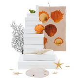 Classic Glossy White Jewelry Boxes