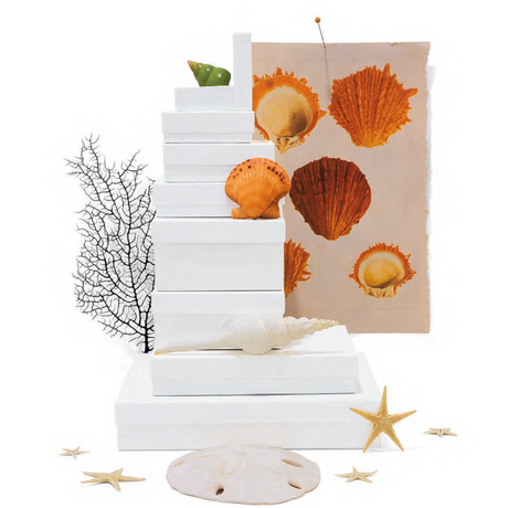 Classic Glossy White Jewelry Boxes
