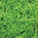 Lime Green - Very Fine Cut Basket Shred - 10 lb Box