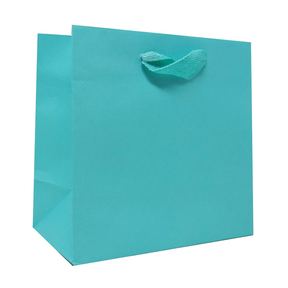 6.5 x 3.5 x 6.5" / Blank Bag / No Printing / Case/100