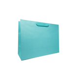 16 x 6 x 12" / Blank Bag / No Printing / Case/100