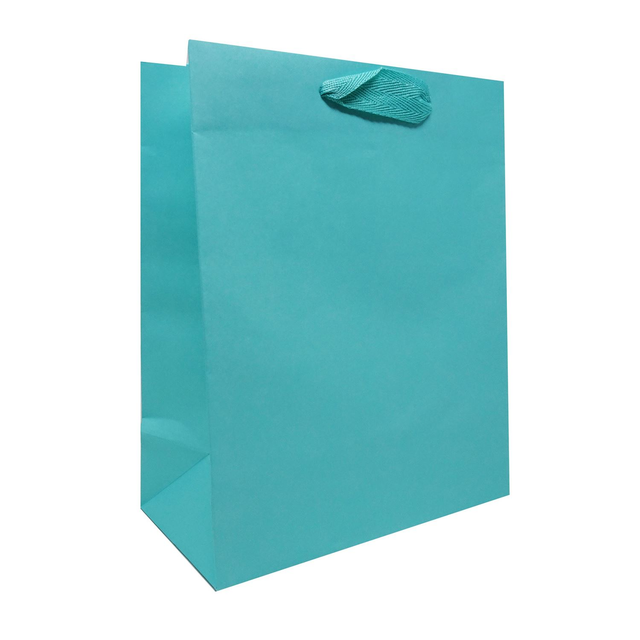 Aqua Manhattan Bags
