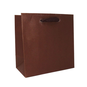 6.5 x 3.5 x 6.5" / Blank Bag / No Printing / Case/100