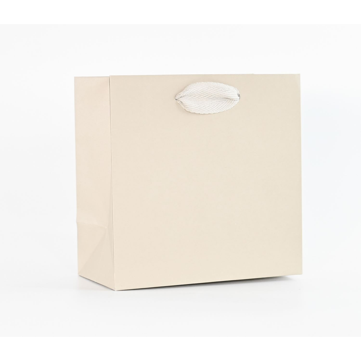 6.5 x 3.5 x 6.5" / Blank Bag / No Printing / Case/100