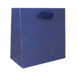6.5 x 3.5 x 6.5" / Blank Bag / No Printing / Case/100