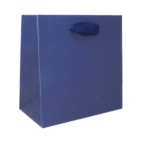 6.5 x 3.5 x 6.5" / Blank Bag / No Printing / Case/100
