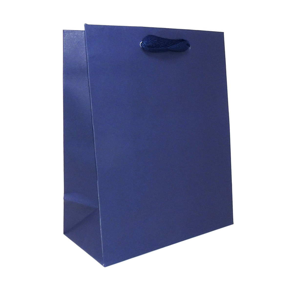 8 x 4 x 10" / Blank Bag / No Printing / Case/100