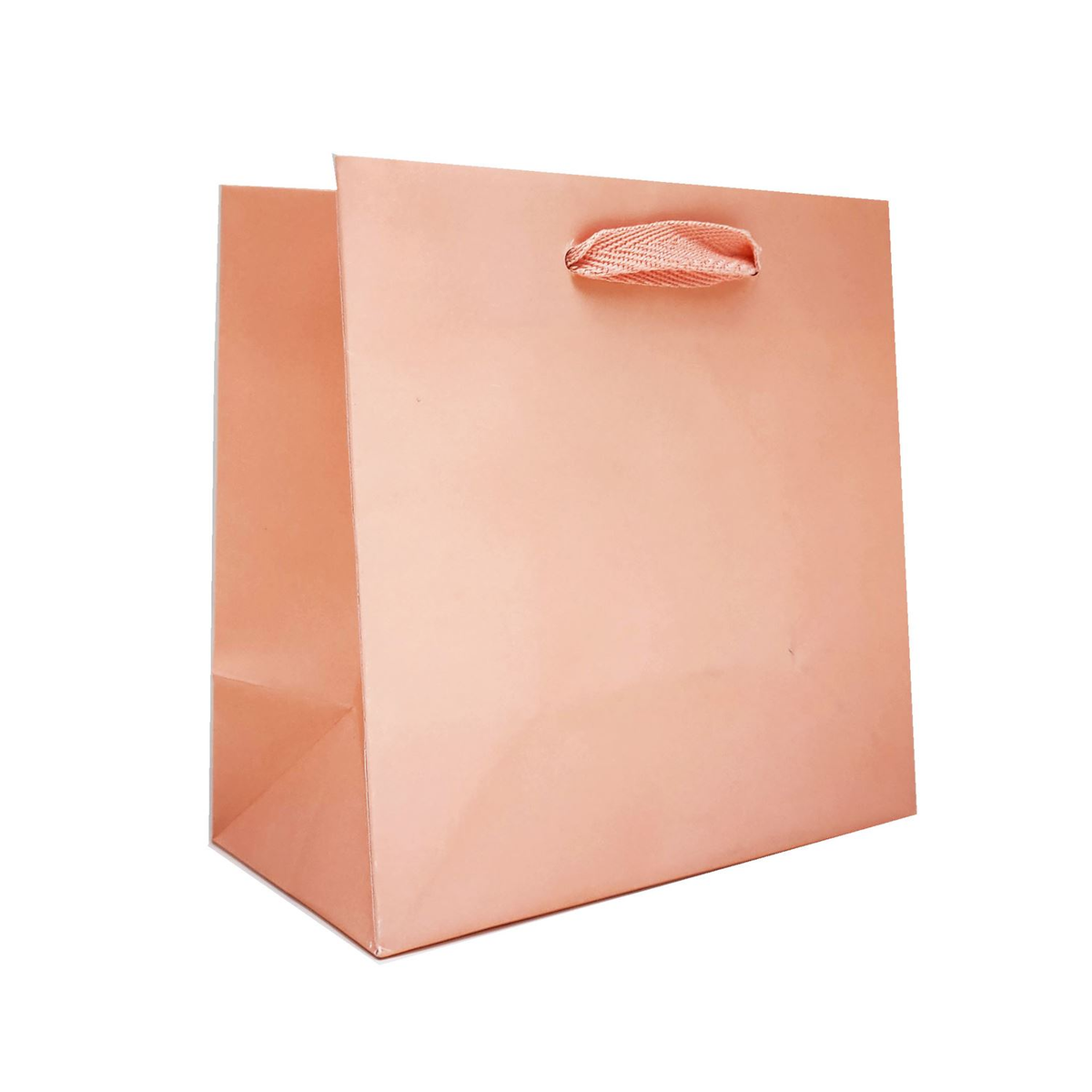 6.5 x 3.5 x 6.5" / Blank Bag / No Printing / Case/100