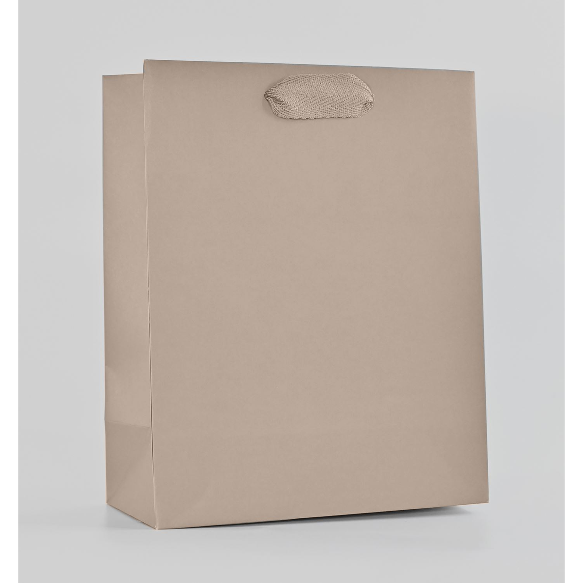 8 x 4 x 10" / Blank Bag / No Printing / Case/100