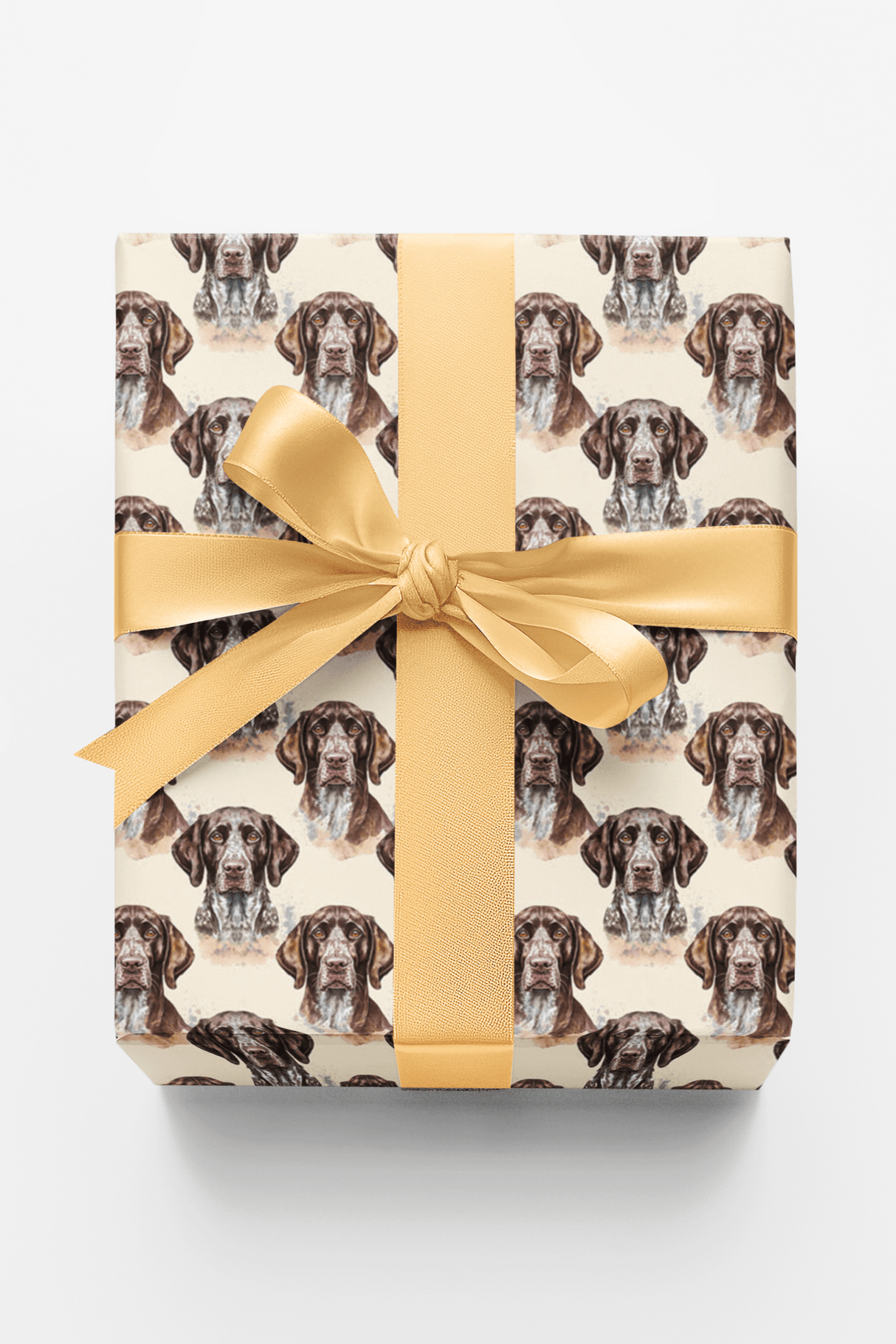 The Stylish Pointer