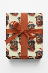 Rottweiler in Red