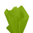Oasis Green - Tissue - Ream - 20" x 30" - Quire Folded