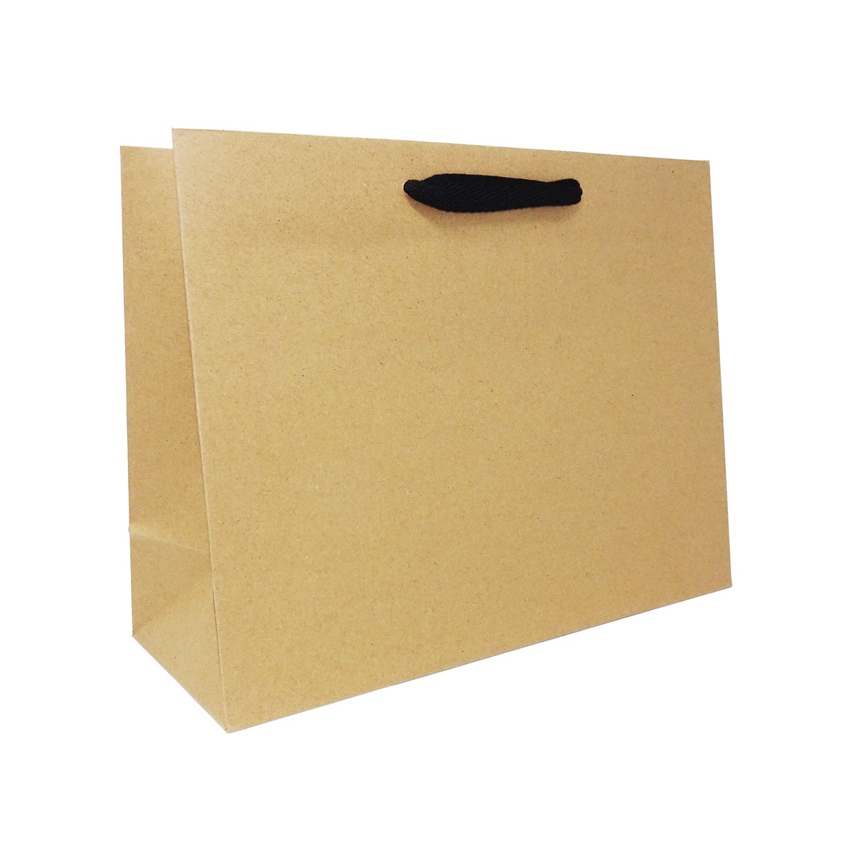 13 x 5 x 10" / Blank Bag / No Printing / Case/100