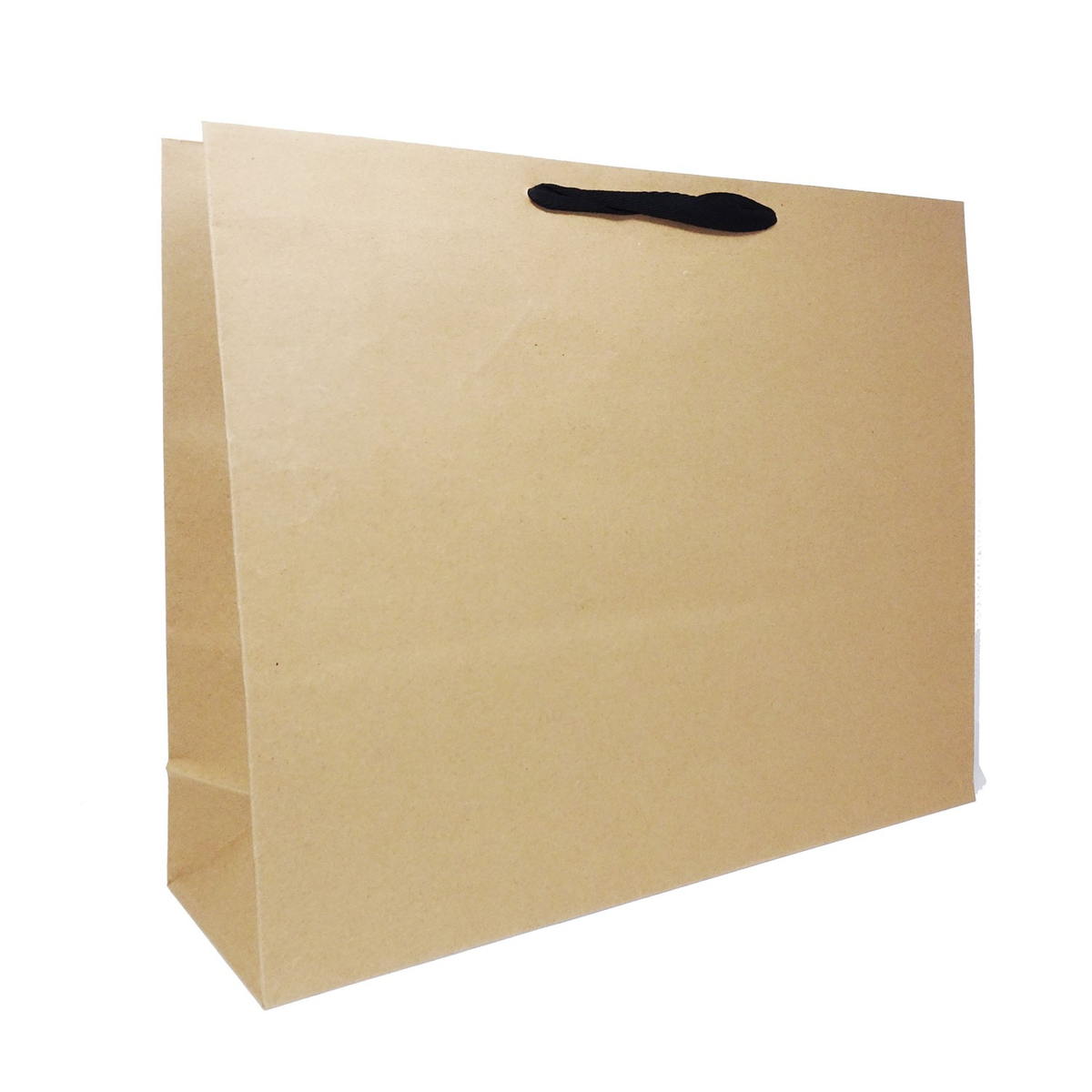 20 x 6 x 16" / Blank Bag / No Printing / Case/50