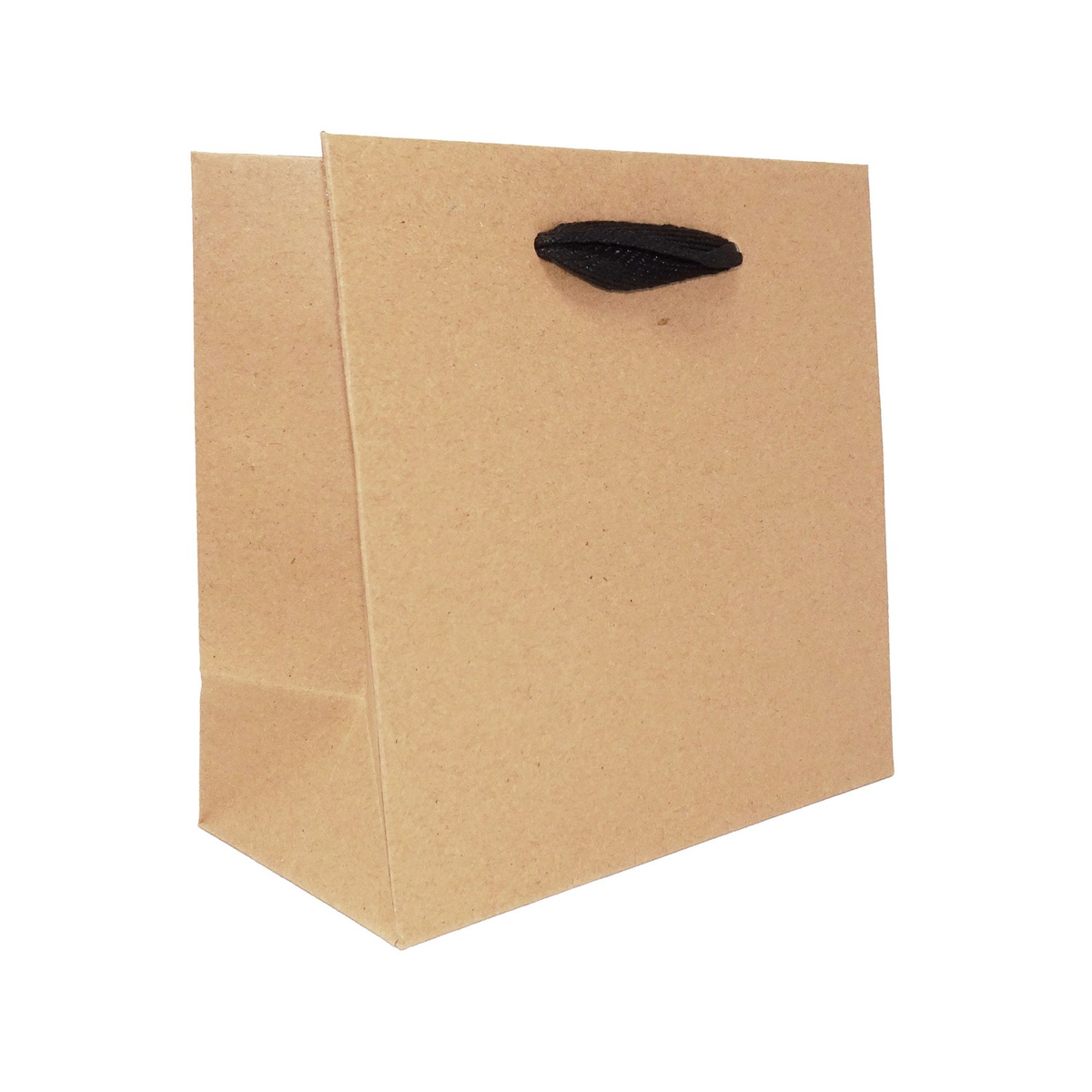 6.5 x 3.5 x 6.5" / Blank Bag / No Printing / Case/100