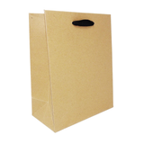 8 x 4 x 10" / Blank Bag / No Printing / Case/100