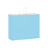 Matte Powder Blue - Matte Shopping Bags - 16 x 6 x 12-3/8"