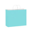 Matte Turquoise - Matte Shopping Bags - 16 x 6 x 12-3/8"