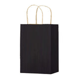 Black Varnish Stripe - Matte Shopping Bags - 5-1/4 x 3-1/4 x 8-3/8"