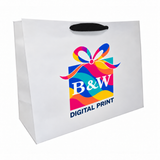 20 x 6 x 16" / Multi-Color Digital Print / Case/50