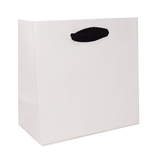 6.5 x 3.5 x 6.5" / Blank Bag / No Printing / Case/100