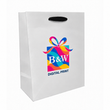 8 x 4 x 10" / Multi-Color Digital Print / Case/100