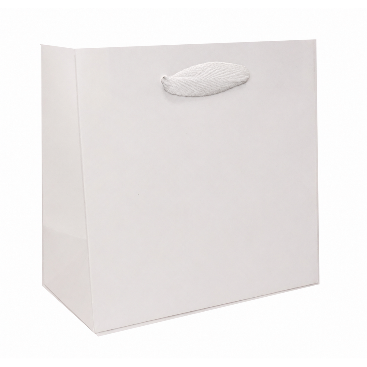 6.5 x 3.5 x 6.5" / Blank Bag / No Printing / Case/100