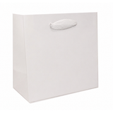 6.5 x 3.5 x 6.5" / Blank Bag / No Printing / Case/100