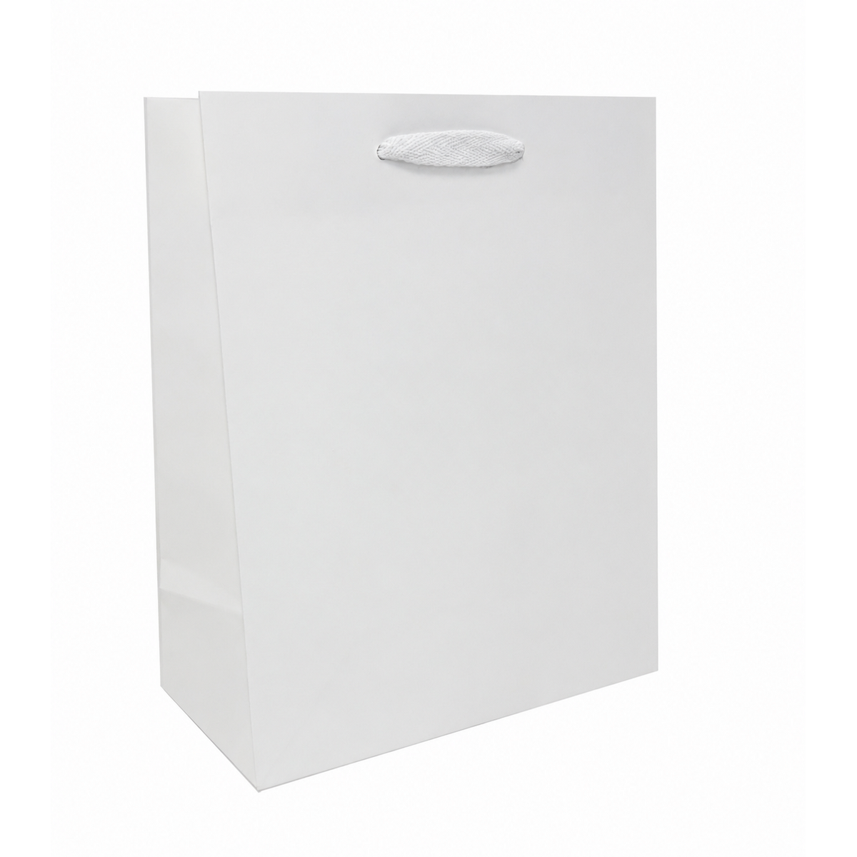 8 x 4 x 10" / Blank Bag / No Printing / Case/100