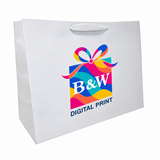 16 x 6 x 12" / Multi-Color Digital Print / Case/100