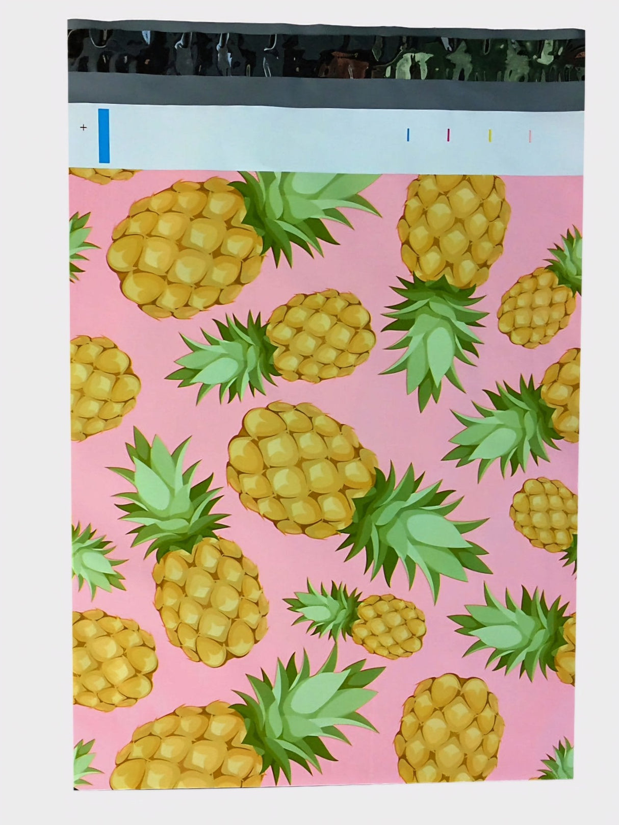 Pineapple Poly Mailers Size 6x9 Shipping Bags