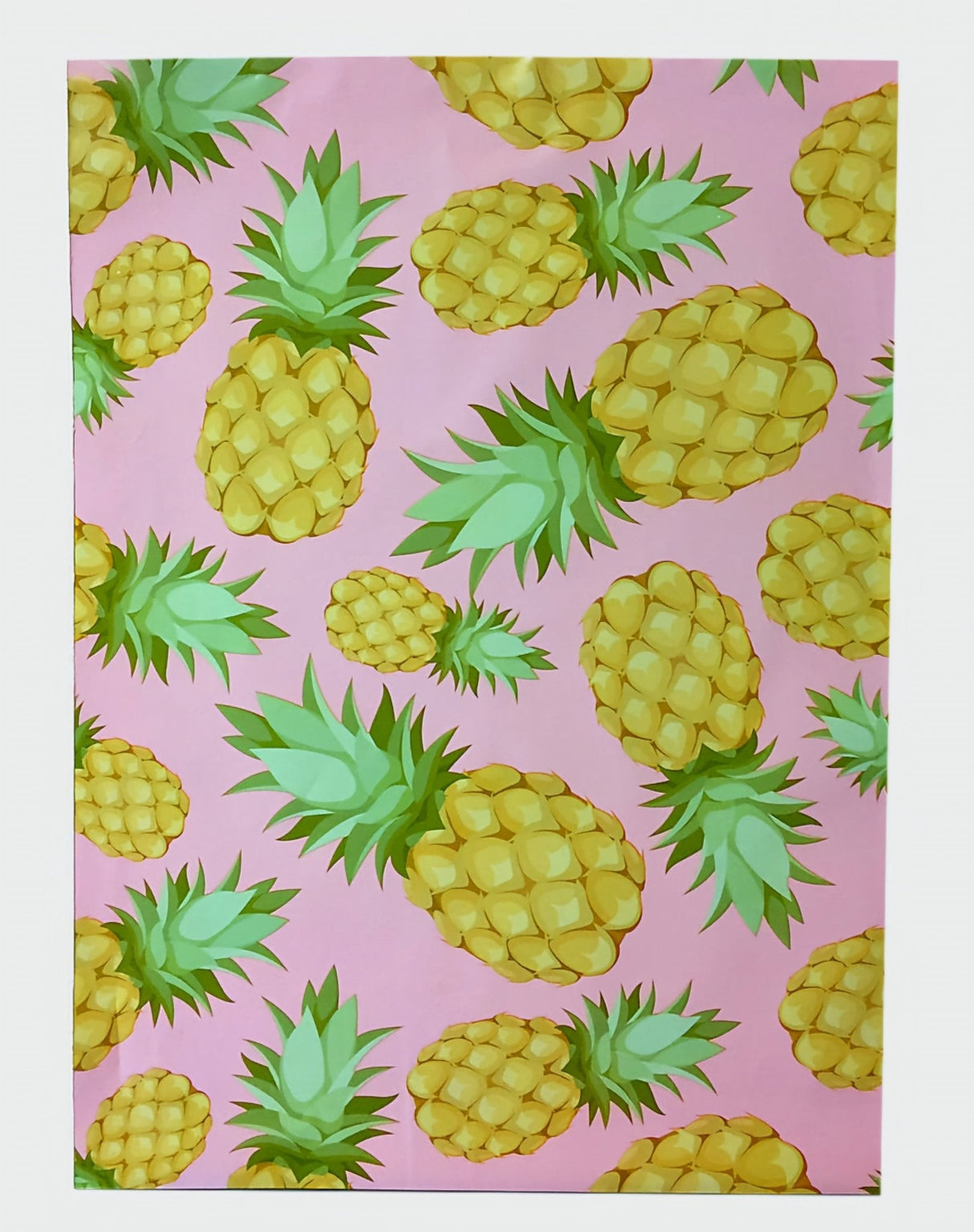 Pineapple Poly Mailers Size 6x9 Shipping Bags
