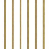 Gold Stripes - Poly Roll - 30" x 100'