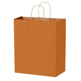 Matte Kraft Burnt Orange - Matte Shopping Bags - 10 x 5 x 13"