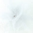 Sparkle White - Sparkle Tulle - 6" x 25 Yards