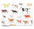 Man's Best Friend - Tissue - Ream - 20 x 30"