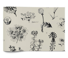 Botanicals - Tissue - Ream - 20 x 30"
