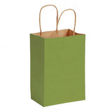 Matte Kraft Rainforest Green - Matte Shopping Bags - 5-1/4 x 3-1/4 x 8-3/8"