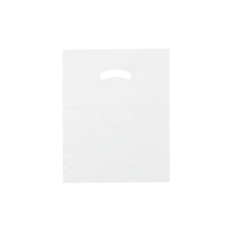 Clear - Super Glossy Plastic Bag - 12 x 15"