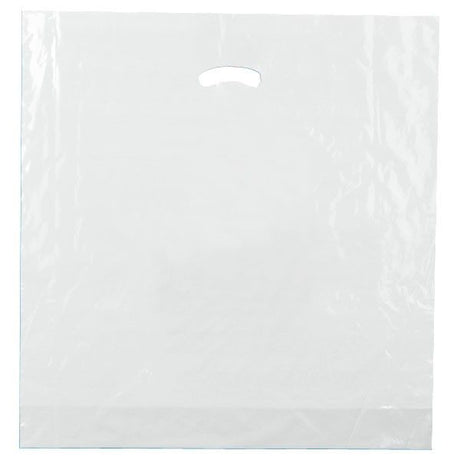 Clear - Super Glossy Plastic Bag - 20 x 20 x 5"