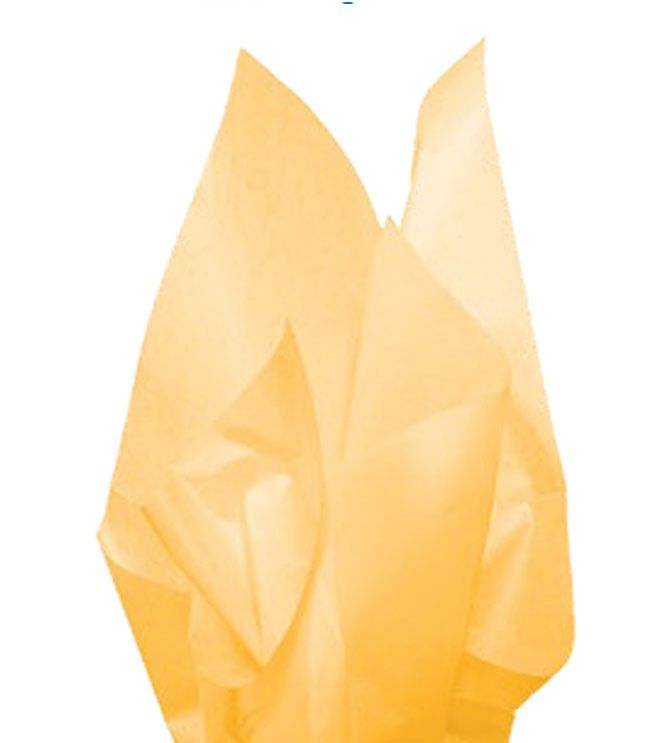 Solid Color Tissue - 24 Sheet Packs
