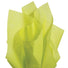 Pistachio - Tissue - Ream - 20" x 30" - Quire Folded