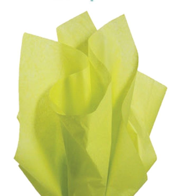 Solid Color Tissue - 24 Sheet Packs