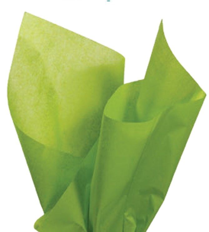 Aloe - Tissue - Ream - 20" x 30" - Quire Folded