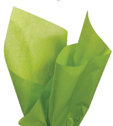 Aloe - Tissue - Ream - 20" x 30" - Quire Folded