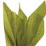 Green Tea - Tissue - Ream - 20" x 30" - Quire Folded
