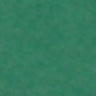 Holiday Green - Tissue Wrap - Packed Flat - 20" x 30" - Flat Folded