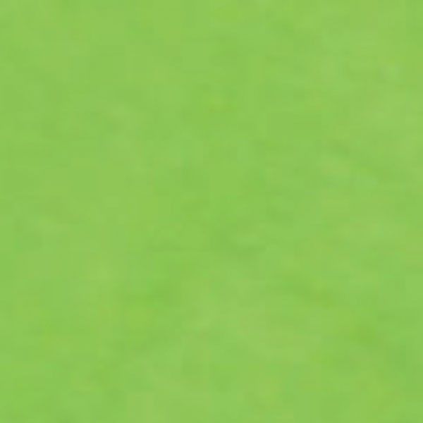Citrus Green - Tissue Wrap - Packed Flat - 20" x 30" - Flat Folded