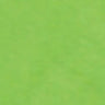 Citrus Green - Tissue Wrap - Packed Flat - 20" x 30" - Flat Folded